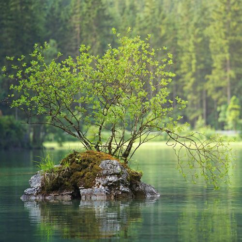 jeune-geneve-se-reposer-jeunant-guerir-microbiote-intermittent-nutrition-sonotherapie-diete-alimentation-jeuner-mediation-yoga-sejours-bains-sonores-spa-etude-chuv-randonnee