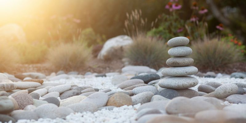jeune-geneve-se-reposer-jeunant-guerir-microbiote-intermittent-nutrition-sonotherapie-diete-alimentation-jeuner-mediation-yoga-sejours-bains-sonores-spa-etude-chuv-randonnee