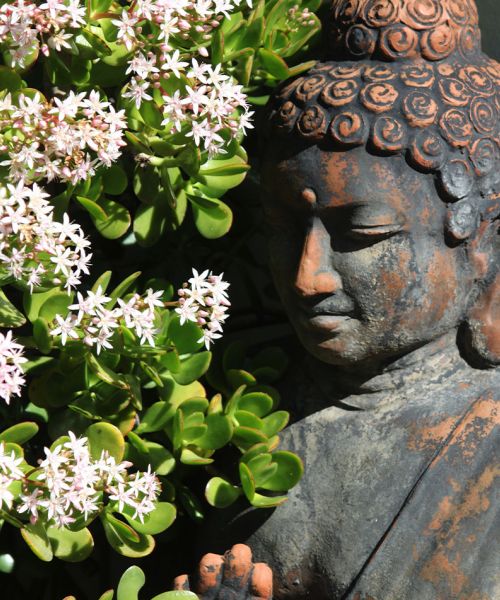 jeune-geneve-se-reposer-jeunant-guerir-microbiote-intermittent-nutrition-sonotherapie-diete-alimentation-jeuner-mediation-yoga-sejours-bains-sonores-spa-etude-chuv-randonnee